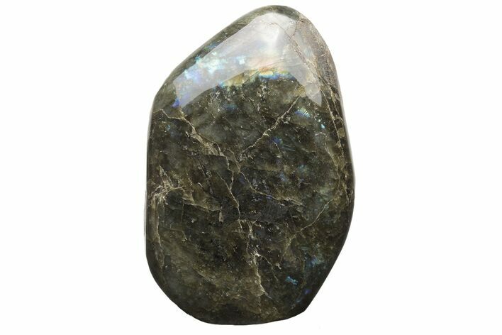 Flashy, Free-Standing Polished Labradorite - Madagascar #237872